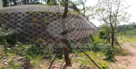 大宝娱乐-LG游戏|PT游戏|CQ9游戏