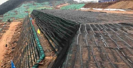 大宝娱乐-LG游戏|PT游戏|CQ9游戏